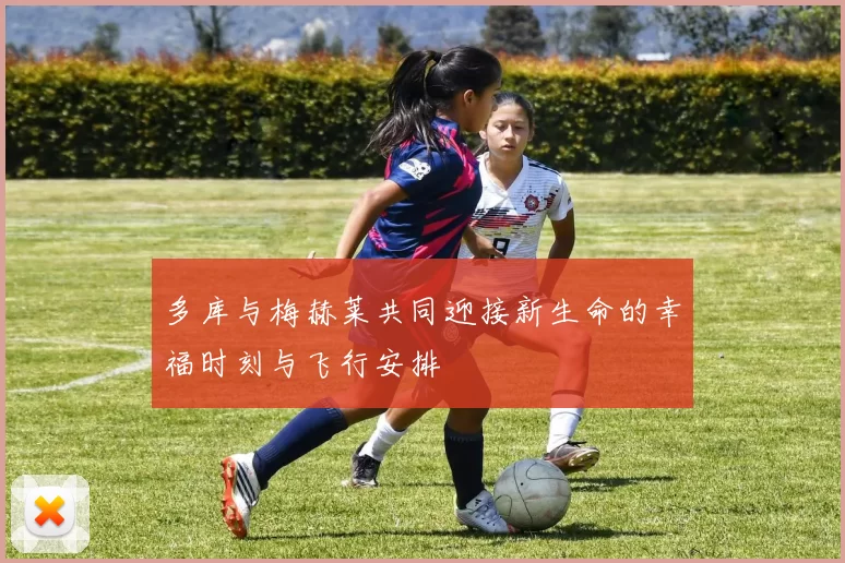 多库与梅赫莱共同迎接新生命的幸福时刻与飞行安排