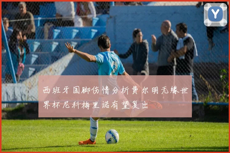 西班牙国脚伤情分析费尔明无缘世界杯尼科梅里诺有望复出